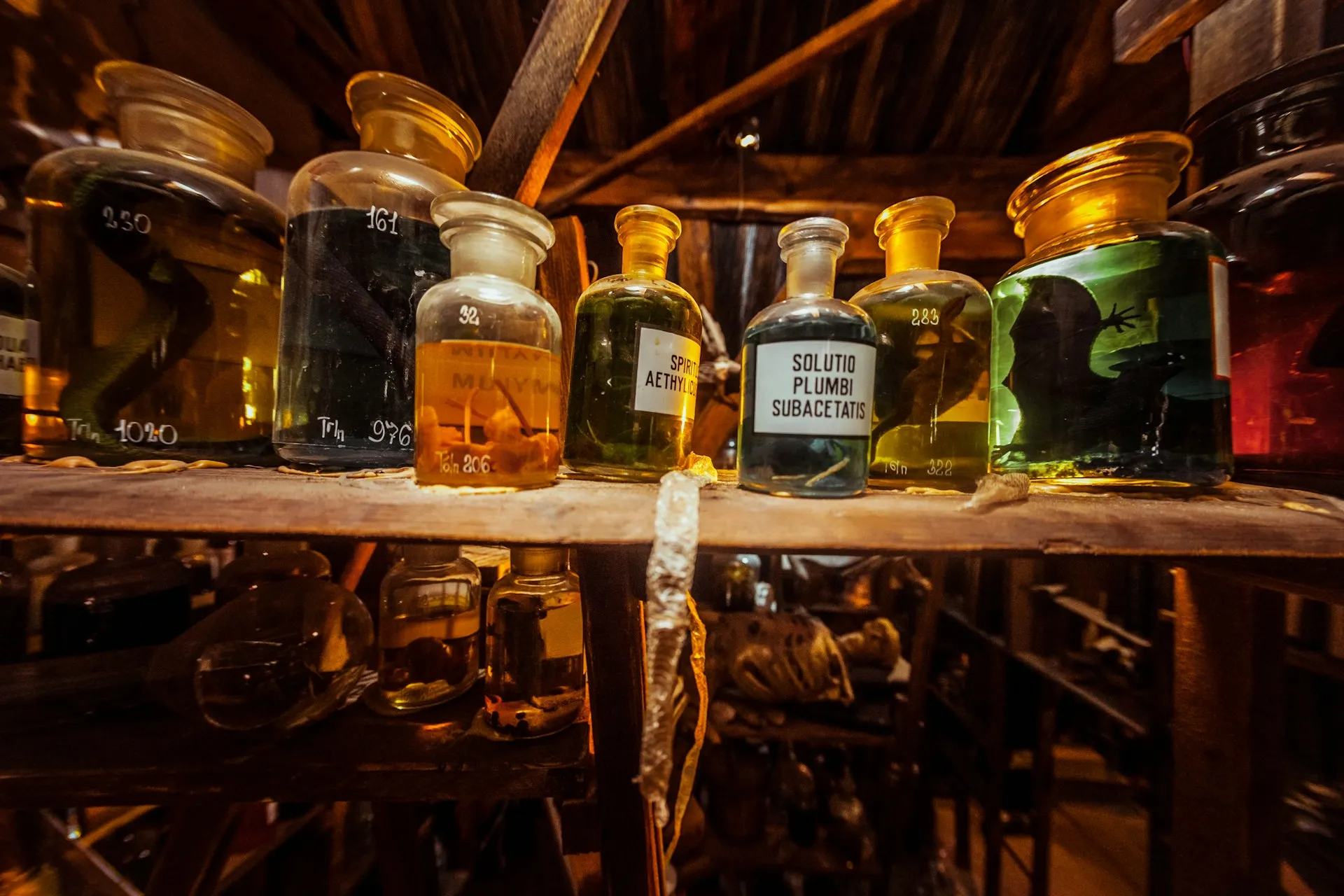 Image for Lorem Ipsum Ghost Tour